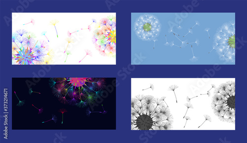 Dandelion background.