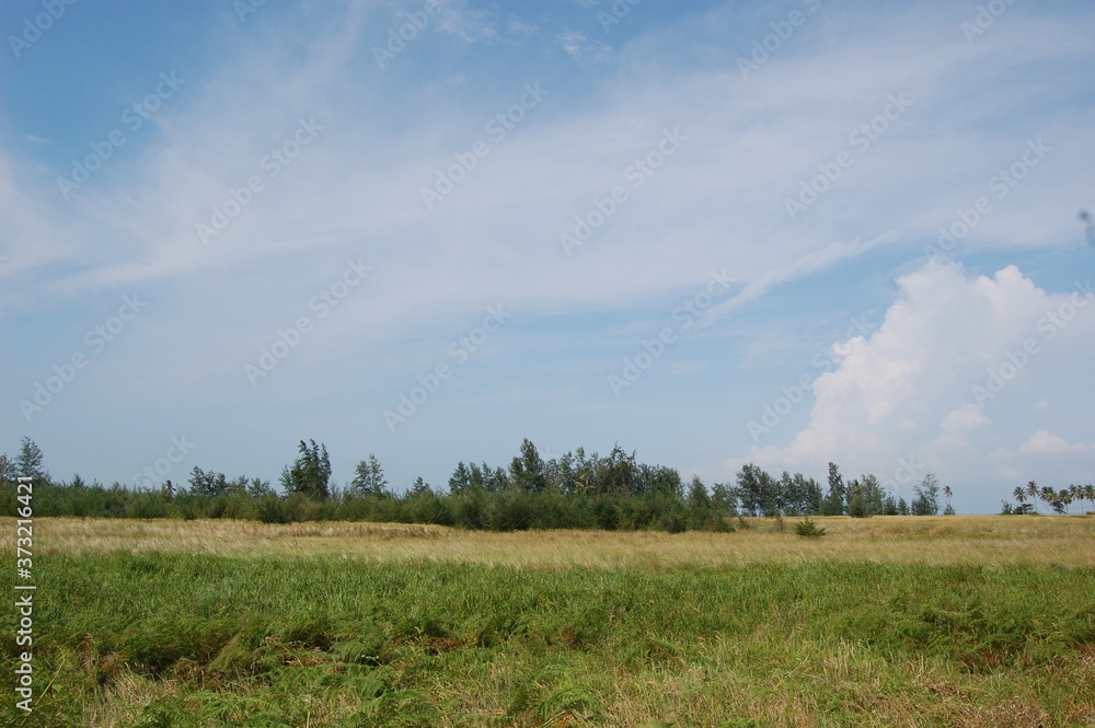 東南アジアのマレーシアの田舎にある草原の風景と青い空と白い雲