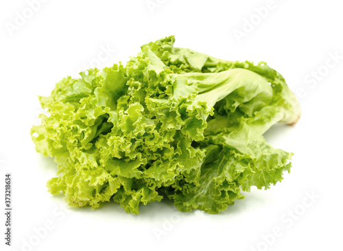 green lettuce isolated on white