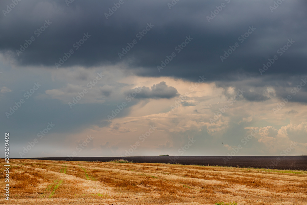 Landscape with a yellow field after harvested wheat and a pre-stormy sky Landscape with a yellow field after harvested wheat and a pre-stormy sky