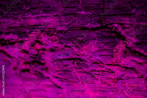 Aged wood fragment with pink highlight