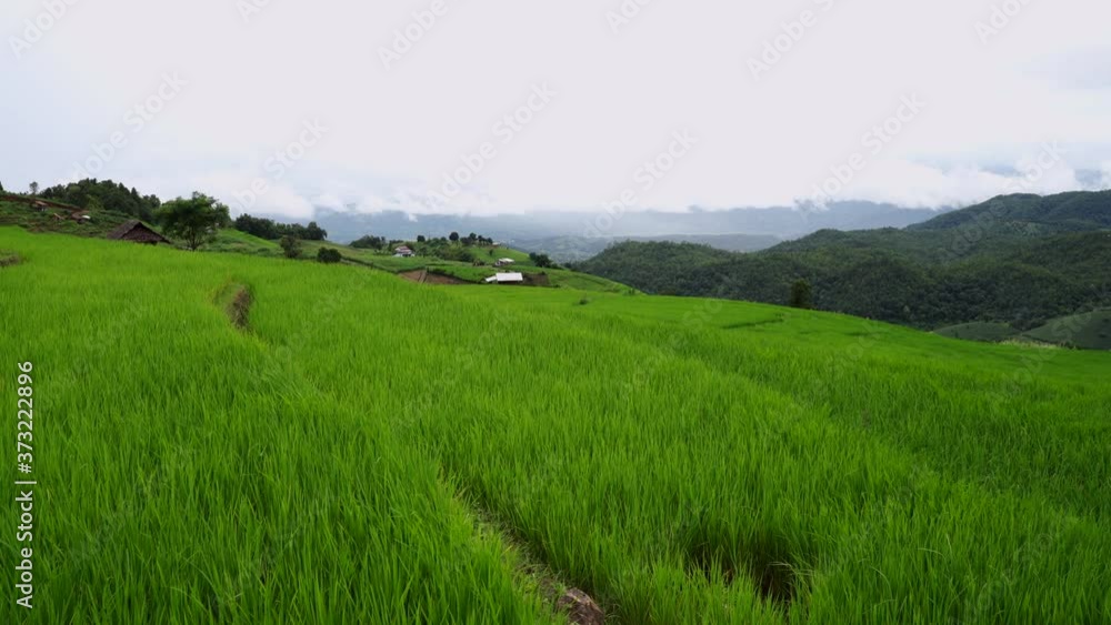 Rice terrace field against cloudy sky Rice terrace field against cloudy sky
