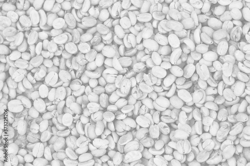 white-gray coffee texture or background