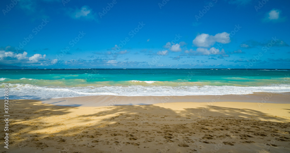 Obraz premium A huge sandy beach. Hawaii