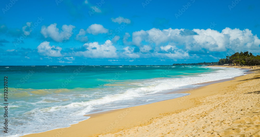 A huge sandy beach. Hawaii