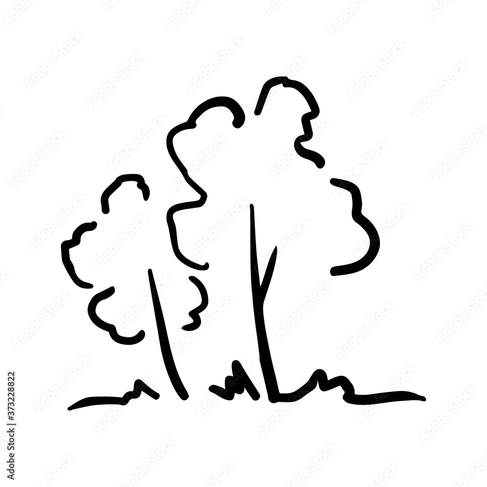 Outline trees isolated on white background. Vector illustration Outline trees isolated on white background. Vector illustration