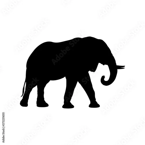 Obraz Fauna africana. Silueta de elefante africano en color negro