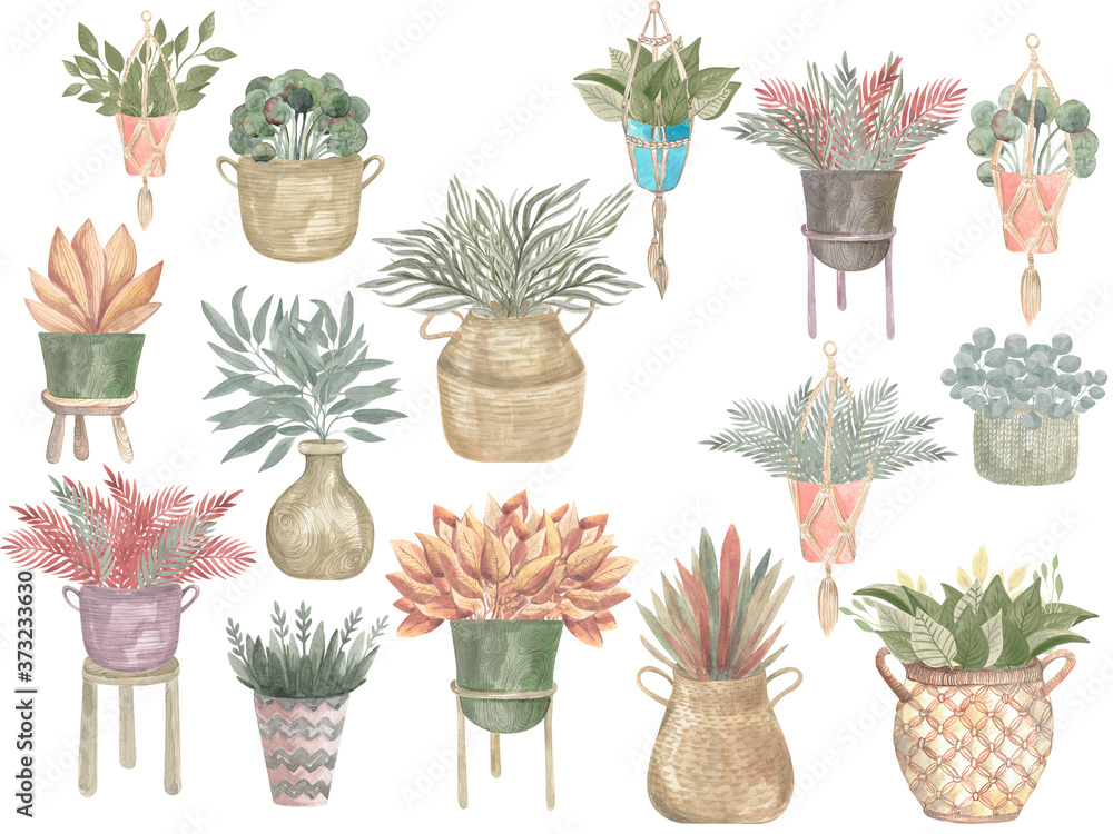 Watercolour illustration of a Boho collection of plants in pots Home decor modern plants in baskets and hanging pots