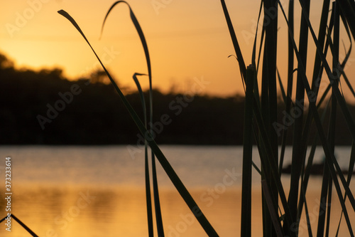 sunset on the lake