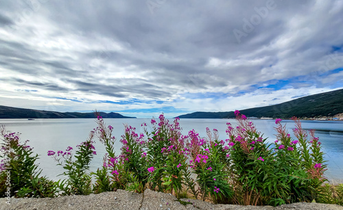 the shore of the Bay Nagaeva photo