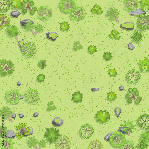 Terrain with a forest. Top view. Trees, bushes, stones, grass. View from above.