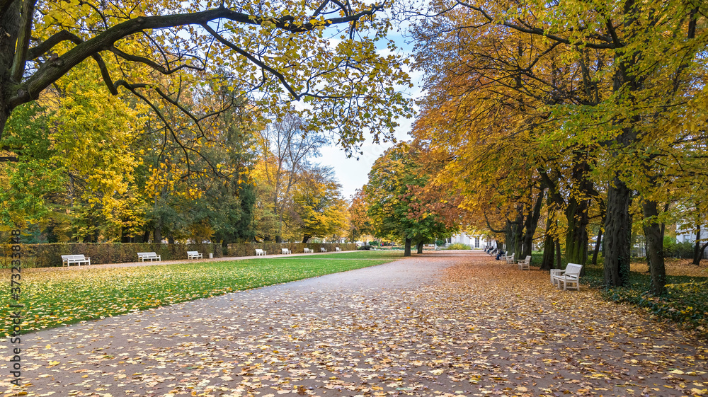 Fototapeta premium Autumn view of the Royal Baths Park in Warsaw