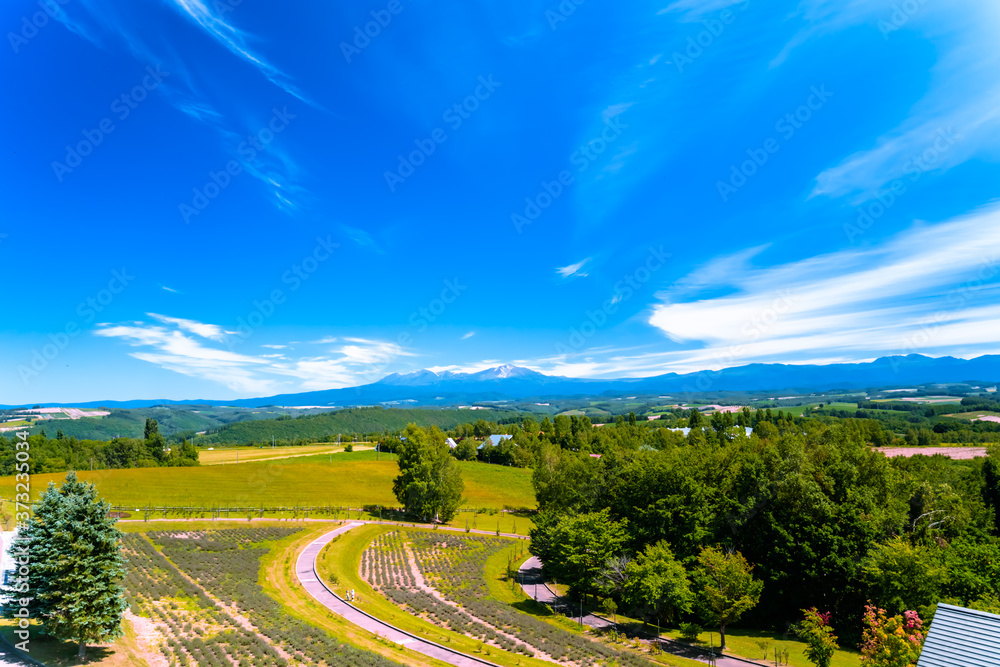 Obraz premium 北海道美瑛町のパノラマ