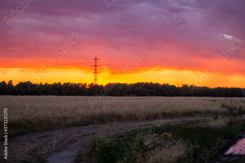 Beautiful pink and orange sunset in the field. A fiery, bright sunset