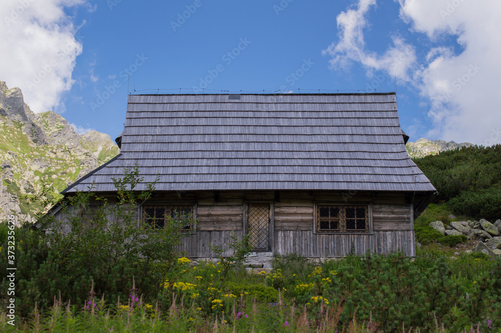 Shelter Shelter