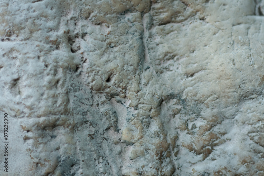 An interesting surface of an old stone
An interesting surface of an old stone
