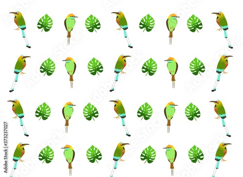 set of green leaves and bird  isolated on white background