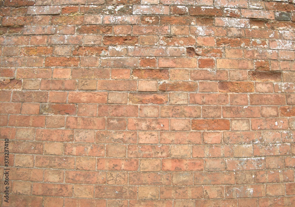 Obraz premium old brick wall background texture