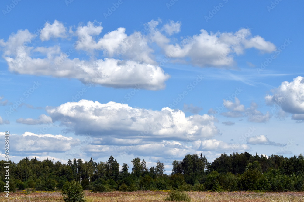 Obraz premium landscape with clouds