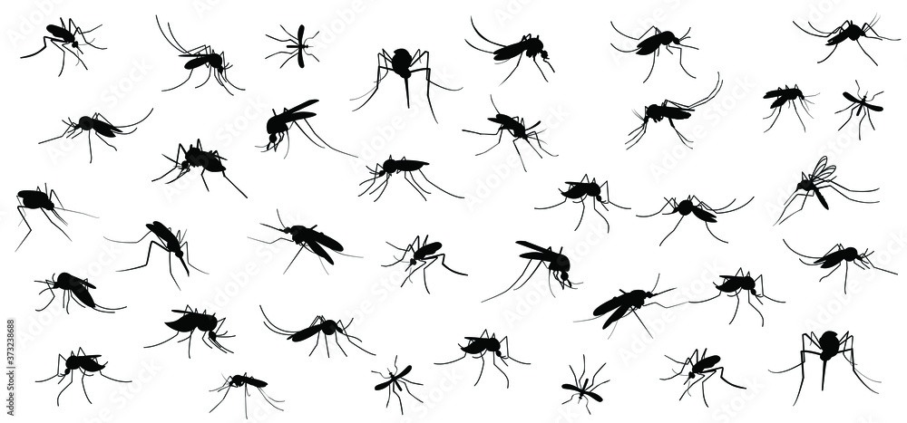Stop malaria mosquito or zika virus alert. World malaria day on April 25. Vector signaling seamless pattern. Insect bite, blood infection ( illness ). Stop malaria mosquito or zika virus alert. World malaria day on April 25. Vector signaling seamless pattern. Insect bite, blood infection ( illness ).