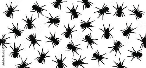 Spider seamless pattern sign Halloween icons. Funny vector spiders. Spidery insect for web © MarkRademaker