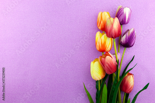 Fototapeta Naklejka Na Ścianę i Meble -  Spring flowers of Tulips flowers on beautiful purple background.