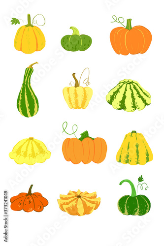 set of pumpkins isolated on white background