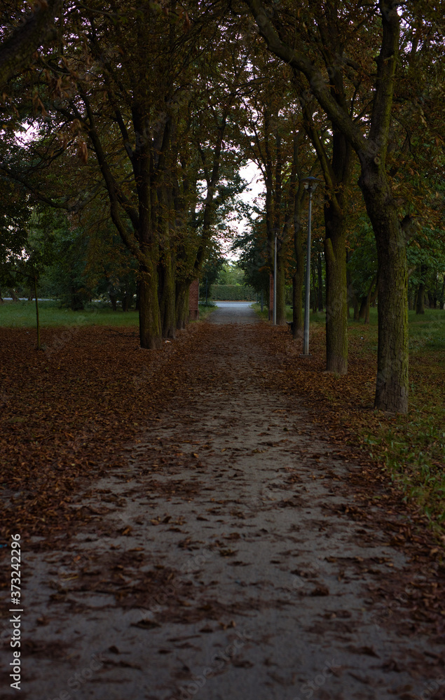 ścieżka w parku na ulice Kilińskiego Oława