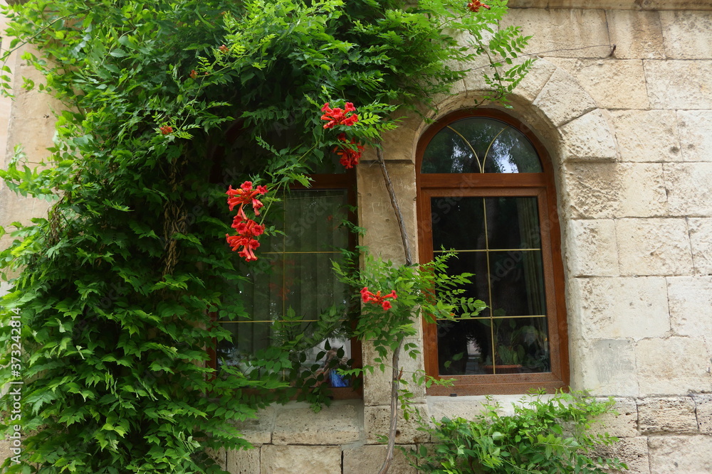 Chersonesos. Courtyard in the Italian style. Crimea Chersonesos. Courtyard in the Italian style. Crimea