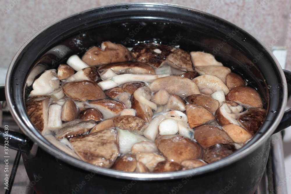 fine porcini mushrooms collected in the Leningrad region fine porcini mushrooms collected in the Leningrad region