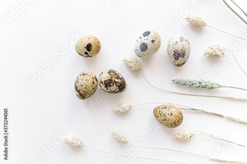 Creative composition of quail eggs and spikelets on white background. Space for text, top view. Easter holiday concept.