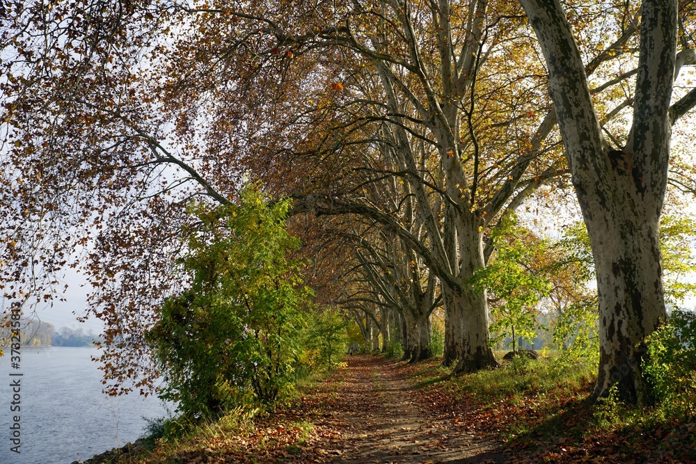 Herbstspaziergang Herbstspaziergang