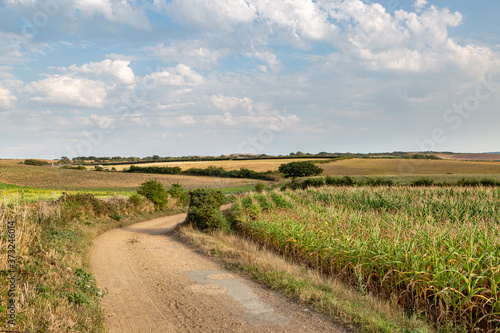 A Rural Isle of Wight Landscape