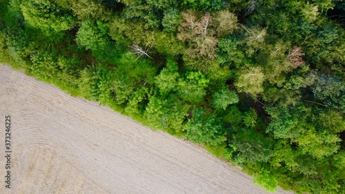a green forest photographed with the drone.