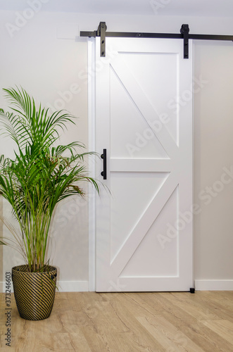 Modern living room with a white sliding barn door and a beautiful potted plant called Dypsis lutescens, also known as golden cane palm or areca palm