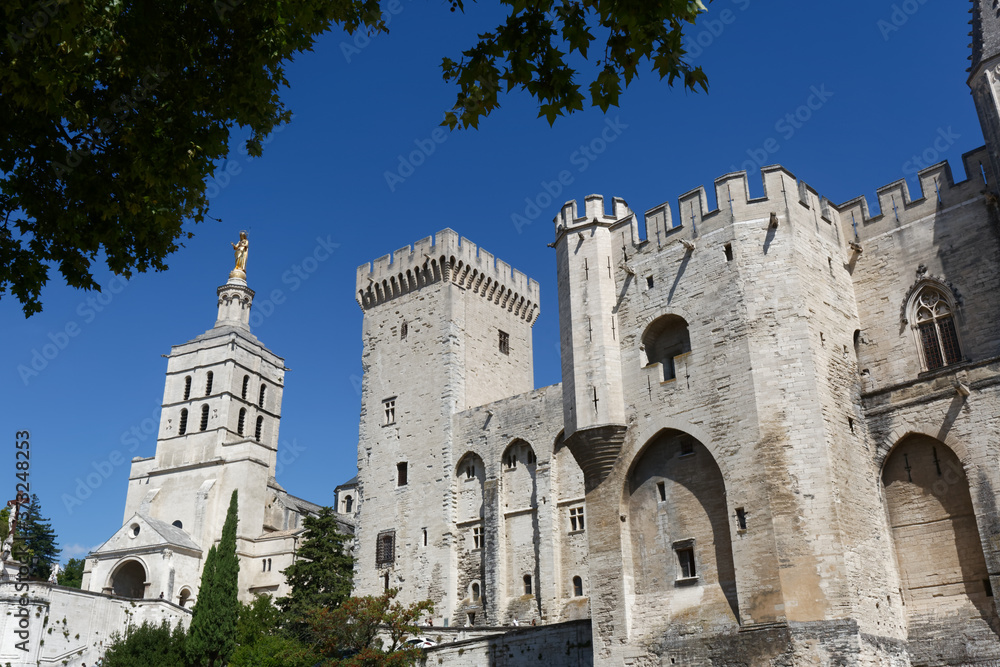 Notre-Dame des dons et le palais des papes à Avignon - France