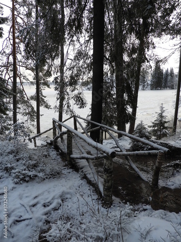 Birch bridge in winter forest