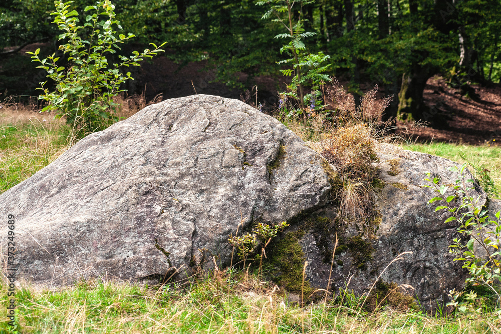 stones in the clearing near the shypot waterfall stones in the clearing near the shypot waterfall