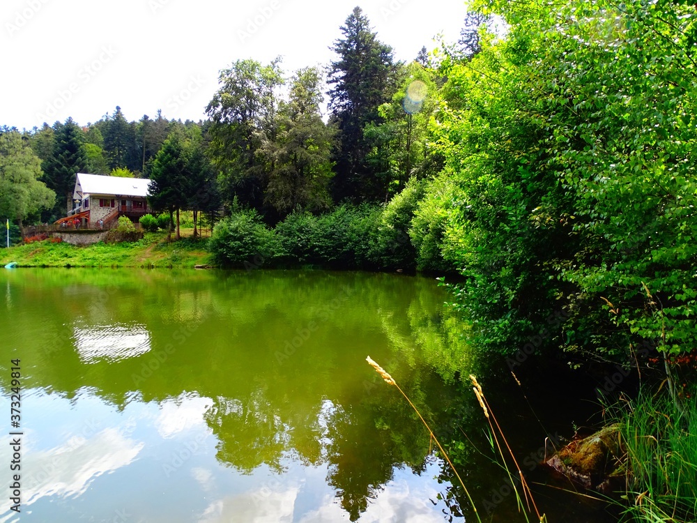 Europe, France, Great East region, Haut Rhin department, mountain lake