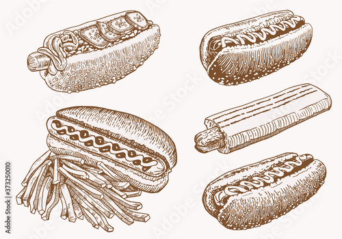 Vintage set of hot dogs, junk food,illustration
