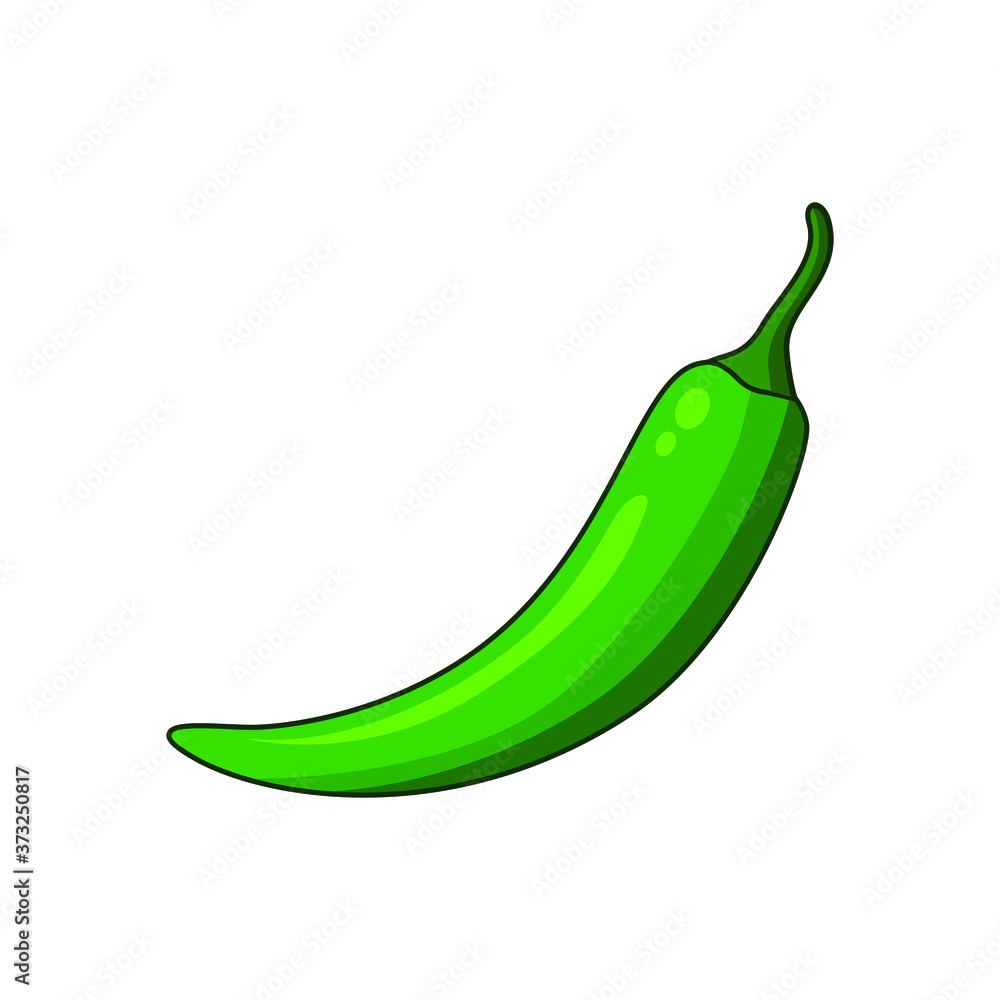 green hot chili pepper vector illustration isolated on white background. Illustration of food hot chilli pepper in minimalis style. Simple logo vector illustration for graphic and web design. green hot chili pepper vector illustration isolated on white background. Illustration of food hot chilli pepper in minimalis style. Simple logo vector illustration for graphic and web design.