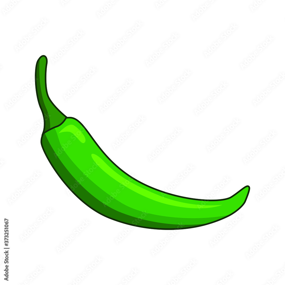 green hot chili pepper vector illustration isolated on white background. Illustration of food hot chilli pepper in minimalis style. Simple logo vector illustration for graphic and web design. green hot chili pepper vector illustration isolated on white background. Illustration of food hot chilli pepper in minimalis style. Simple logo vector illustration for graphic and web design.