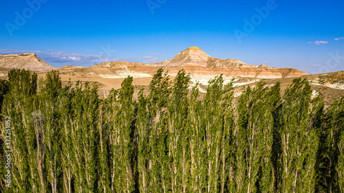 Mountain Scenery and Poplar Trees in Anatolia