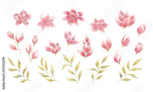 Set with watercolor pink flowers with buds and leaves, single elements on a white background. Twigs of Apple trees. Watercolor illustrations for design of postcards, weddings, invitations, fabrics, pr
