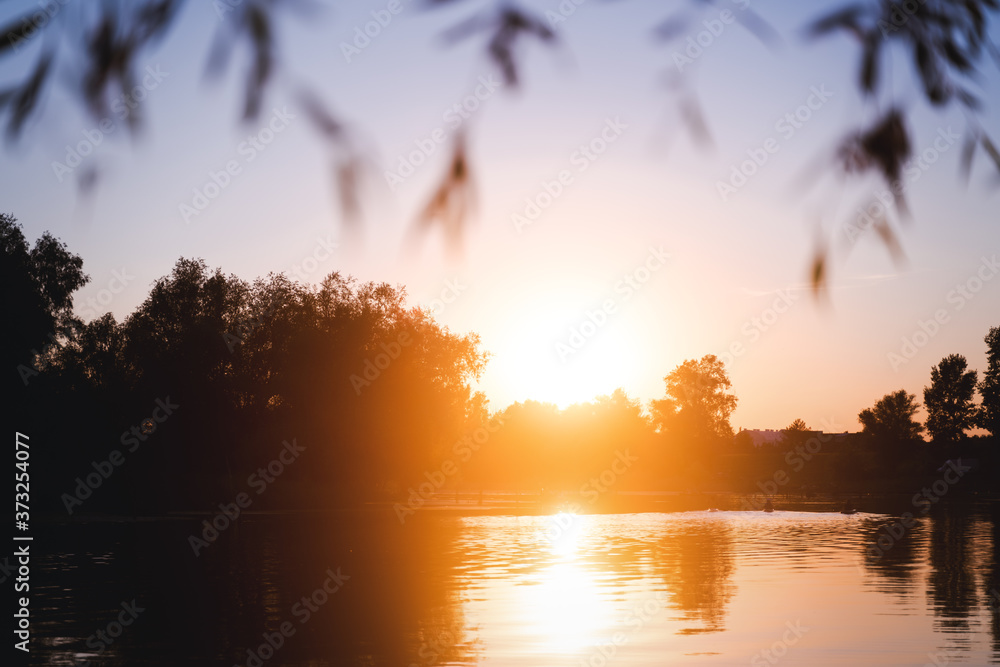 Fototapeta premium Beautiful summer autumn landscape, the sun sets in the forest, a view of the trees and grass pond, reflected in the water. Stunning bright sunset