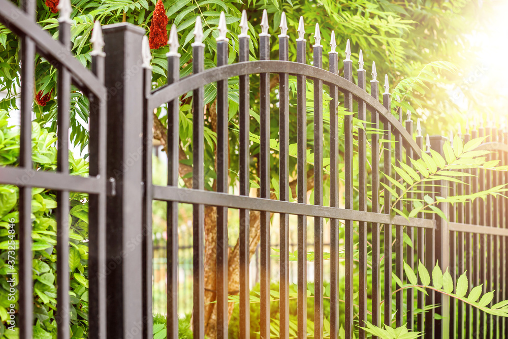 fence. black metal, iron fence fence. black metal, iron fence