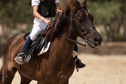 Horseback riding, equestrian child is riding a horse