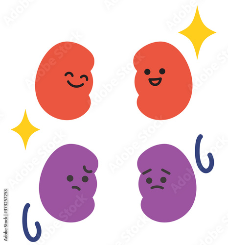 健康な腎臓と不健康な腎臓のイラスト