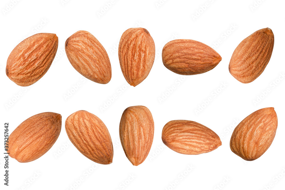 Closeup isolated collection of fresh almonds nut seed on white background. Closeup isolated collection of fresh almonds nut seed on white background.