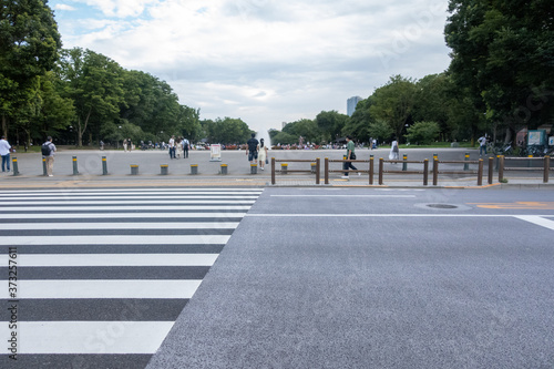 東京上野公園前の横断歩道と空と木々と